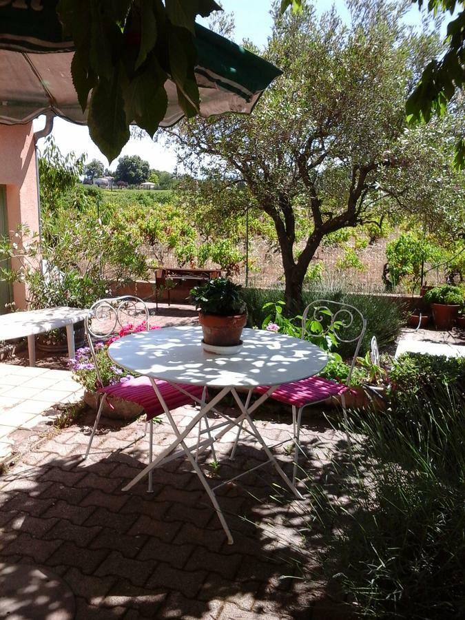 Vents D'Anges Bed & Breakfast Sainte-Cécile-les-Vignes Exterior foto