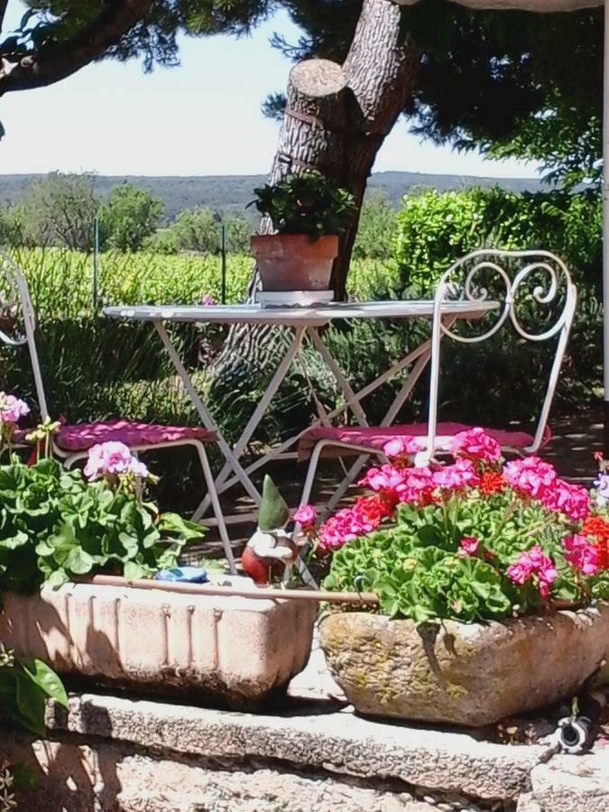 Vents D'Anges Bed & Breakfast Sainte-Cécile-les-Vignes Exterior foto